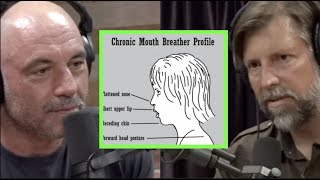 Why Being a "Mouth-Breather" Is Bad For You w/James Nestor | Joe Rogan