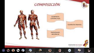 tejdo exitable musclar   tios de contracccion y prpopiocepcion huso  otg