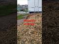 Gardeners luv woodchip