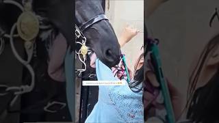 Respect the Guard: A Horse and His Duty 👑🐎