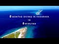 8 Months Diving In Fakarava in 8 Minutes (French Polynesia)