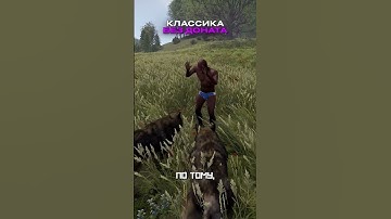 ИМБАЛАНСНЫЕ ВОЛКИ НАЧНУТ РЕГИНЕРИРОВАТЬ ЗДОРОВЬЕ В РАСТ RUST #rust #rustshorts #раст #rustобновление