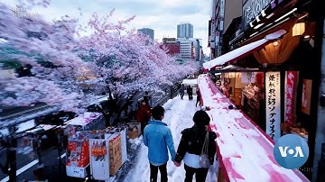 AI’s Newest Advance: Realistic High-Definition Video From a Few Words | VOANews