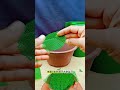 Short Succulent DX 00033 #bonsai #branch #plant