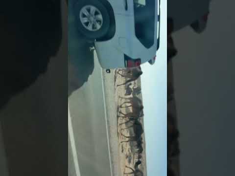 جمال في جنوب تونس رمادة