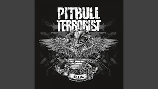Watch Pitbull Terrorist The Shit Of The System video