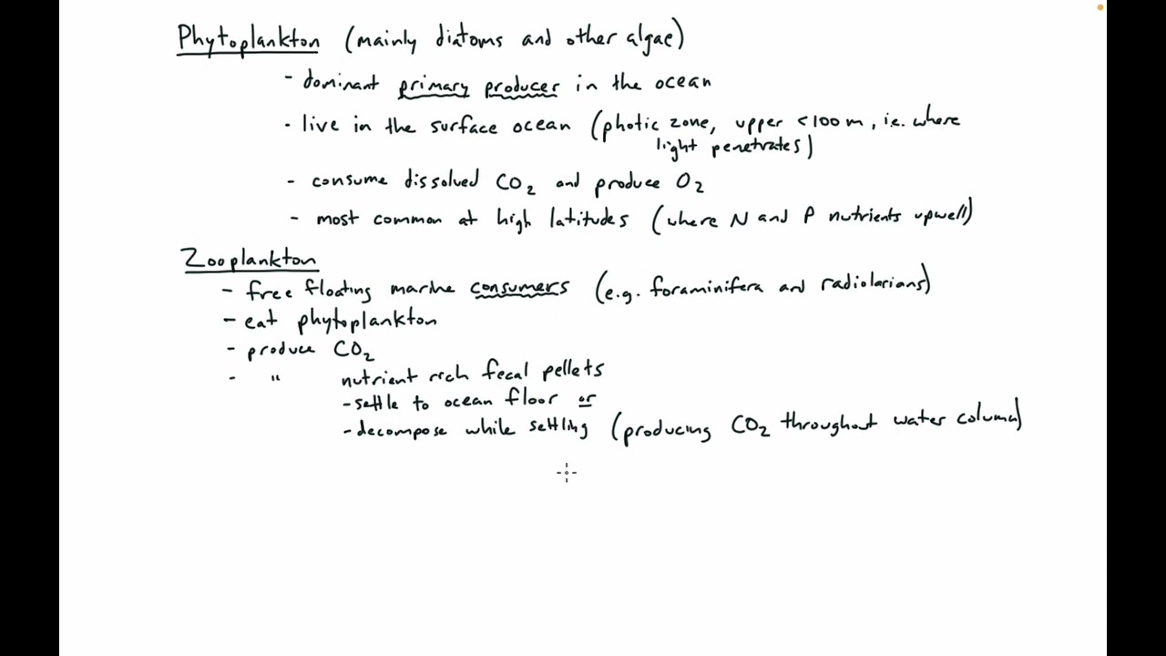 Carbon Cycle pt 2