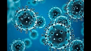 How Did We All Become Amateur Epidemiologists: Public Health Lessons on the Covid-19 Pandemic