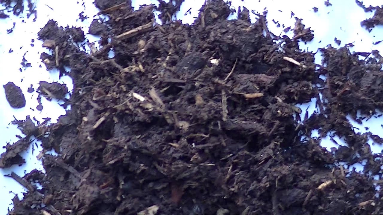 Inspect Bags of Soil Before Applying to Your Lawn YouTube