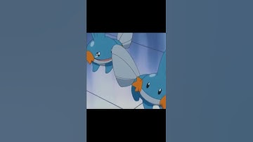 Mudkip Evolution || Ft. Excuses || Attitude 🔥😈