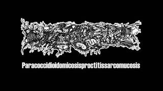PARACOCCIDIOIDOMICOSISPROCTITISSARCOMUCOSIS / 'Satyriasis and Nymphomania' (full album)