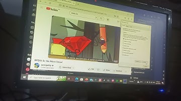 Ruby Crying has BSOD