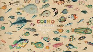 Cosmo Sheldrake - Birth A Basket (Instrumental)