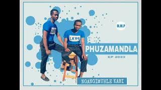 Download lagu phuzamandla ft amandla the poet_ngangimuhlekabi