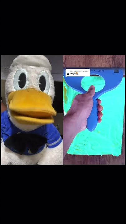 Donald Duck Reacts To Jumpscare with dog #donaldduck #funny #fyp #fypシ