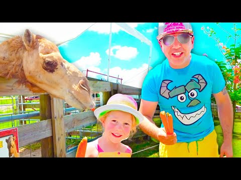 Vidéo: Fun à la ferme