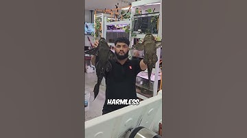 The Fish You’re Not Allowed to Release