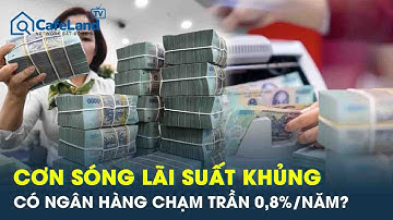 Lãi suất ngân hàng kỳ hạn ngắn đồng loạt chạm trần, ngân hàng nào “tăng sốc” tới 0,8%/năm?