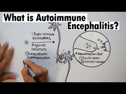 Autoimmune Encephalitis | What is Autoimmune Encephalitis