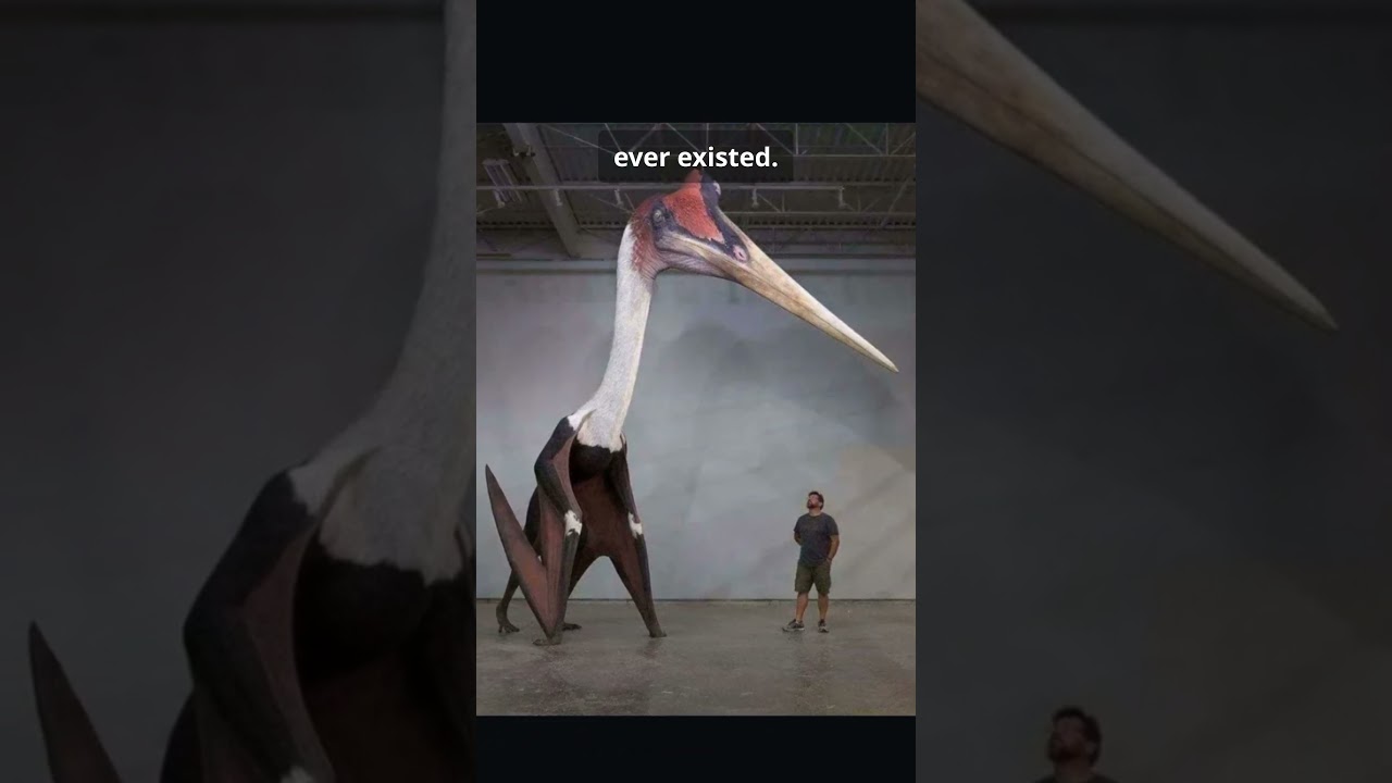 Rare Historical Photos You’ve Never Seen Before! Pt. 37 | 