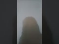 Shadow Queen trending video