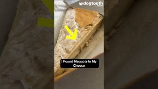 Woman Finds Worst Thing In Cheese || Dogtooth Media