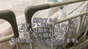 夫 Youtube