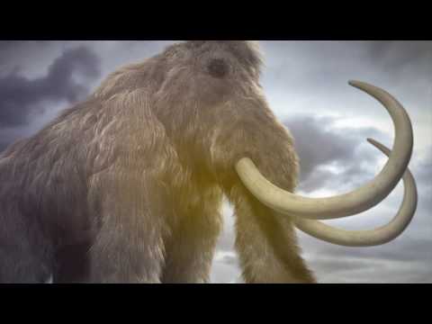 5 Prehistoric Creatures That May Still Be Alive!