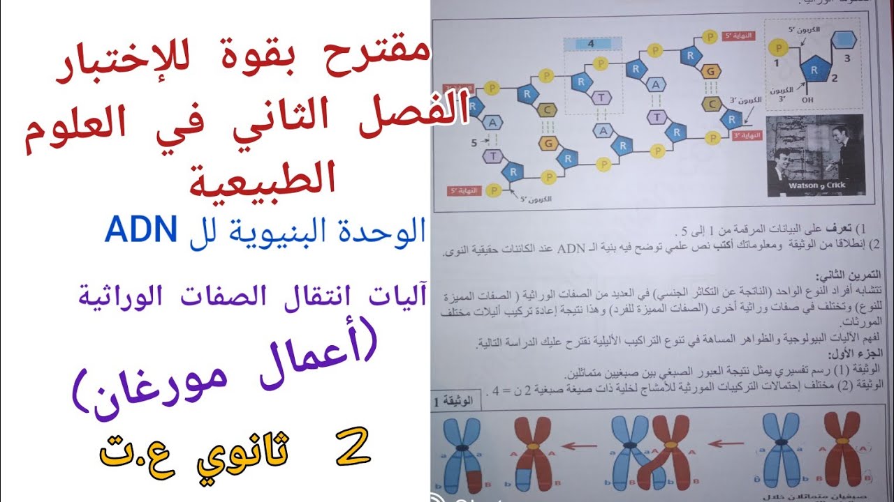 مقترح بقوة للإختبار الفصل الثاني في العلوم (بنيةال ADN و آليات انتقال الصفات الوراثية) 2 ثانوي ع.ت