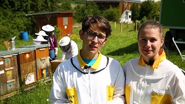 How to Make a Nucleus Honeybee Colony