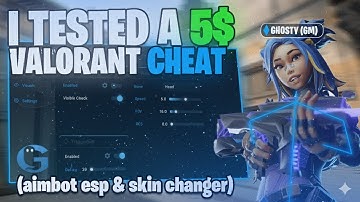 I Tested The $5 Valorant Cheat: Aimbot, ESP & Skin Changer (2025)
