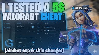 I Tested The $5 Valorant Cheat: Aimbot, ESP & Skin Changer (2025)