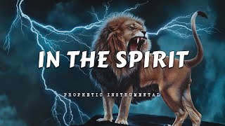 Prophetic Worship Music Instrumental - IN THE SPIRIT