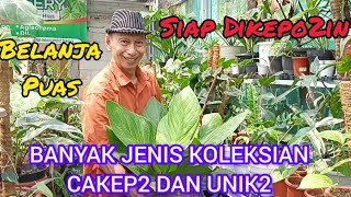 SIAP DIKEPO2IN‼️BELANJA PUAS BANYAK JENIS KOLEKSIAN CAKEP2 DAN UNIK2