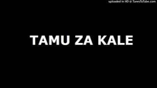 K South ft. Juma Nature - Tunafanya kazi (Audio vid)