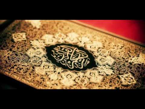 سورة القدر الشيخ حاتم فريد 