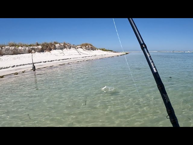 THIS is Why you Go Beach Fishing! Catching TONS of fish in Ultra