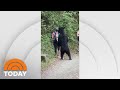 Video Shows Women’s Close Encounter With A Black Bear | TODAY