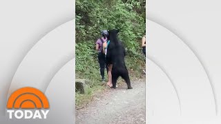 Video Shows Women’s Close Encounter With A Black Bear | TODAY