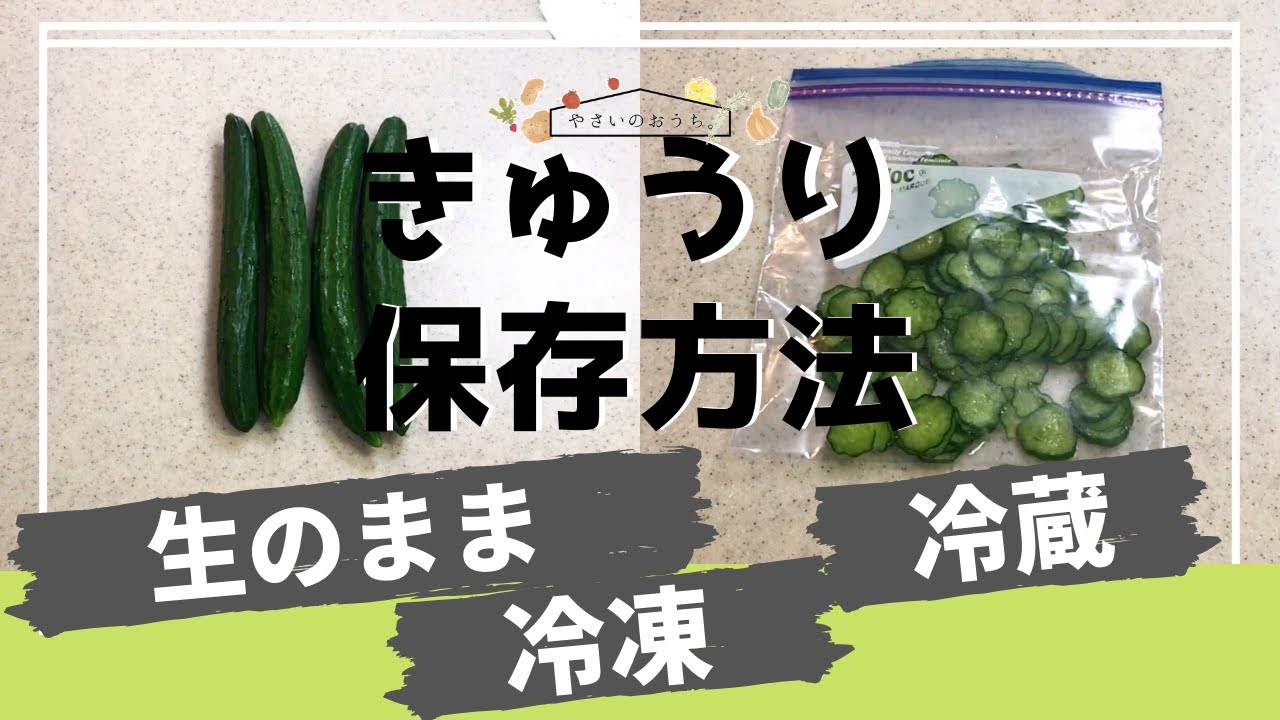 きゅうりの保存方法 冷凍 冷蔵 保存期間と保存食レシピ 切ったら水につけると栄養が減る 野菜のおうち 常温と冷凍保存方法解説