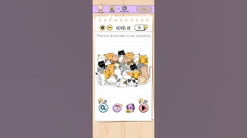 there is an intruder in our cat party! ? correct answer 🤔 level 22