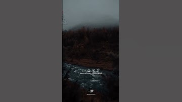 { فَقُلۡتُ ٱسۡتَغۡفِرُواْ رَبَّكُمۡ إِنَّهُۥ كَانَ غَفَّارٗا } || بصوت القارئ طارق محمد || سورة نوح