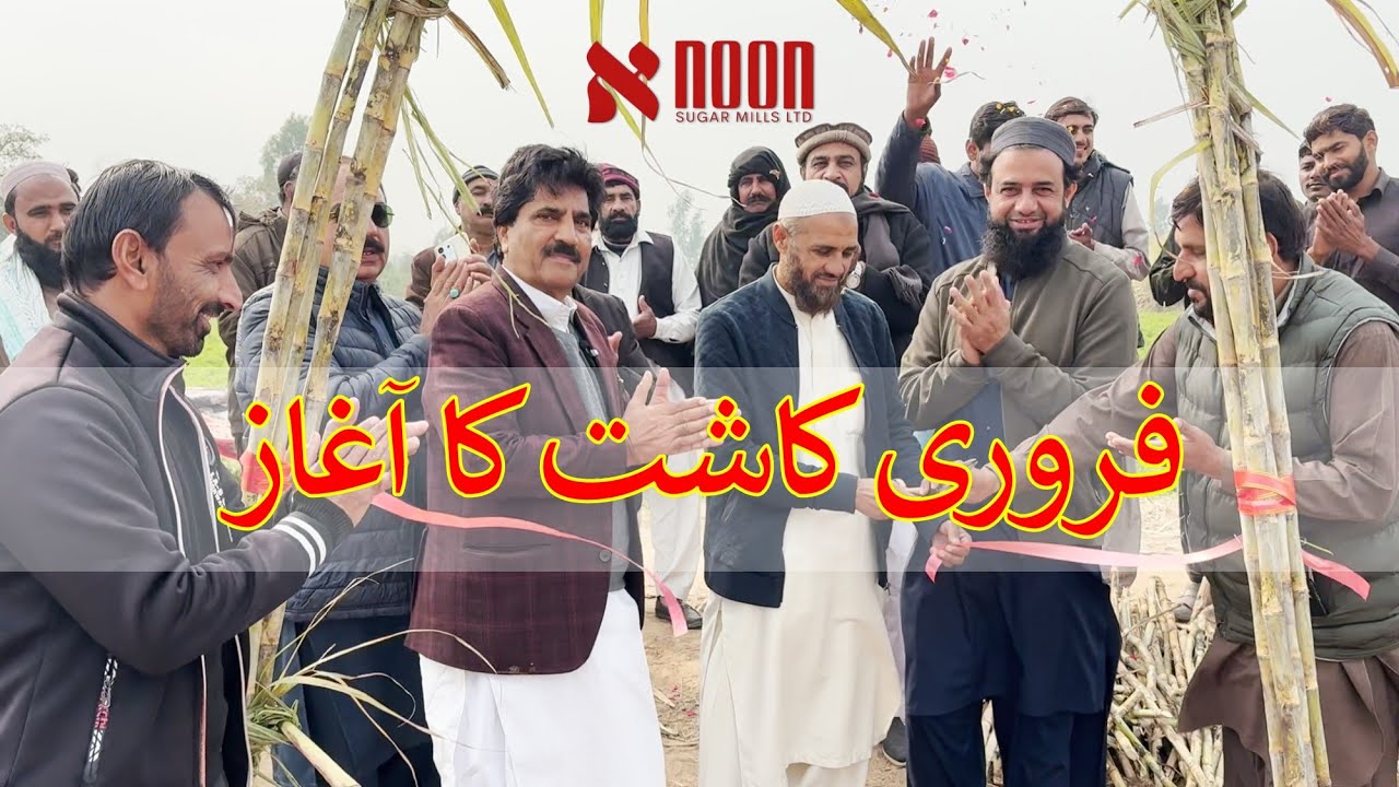فروری کاشت کا باقاعدہ افتتاح | بروقت کاشت، بہتر پیداوار نون شوگر ملز
