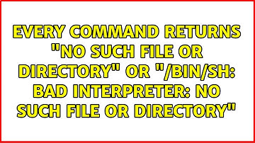 bad interpreter: No such file or directory"