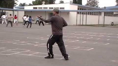 Chiu Chuk Kai Cloudy Palms 132 forms - Triệu Gia Thái Cực Chưởng 132 thức  Part 1