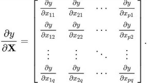 [Matrix Calculus Lectures] Differentiating w.r.t. matrices