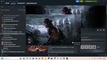 The Last of Us Part II Remastered: Fix Frame Generation Not Working, Broken Frame Generation Fix