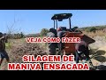 MAIS UMA SILAGEM DE MANIVA(RAMA DE MANDIOCA)ENSACADA