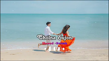 চলনা সুজন । Cholna Sujon - Lofi Remix। Siam & Toya | Slowed & Reverb |