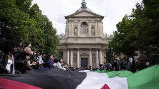 Антиизраильские протесты в вузах Франции: Sciences Po закрыт